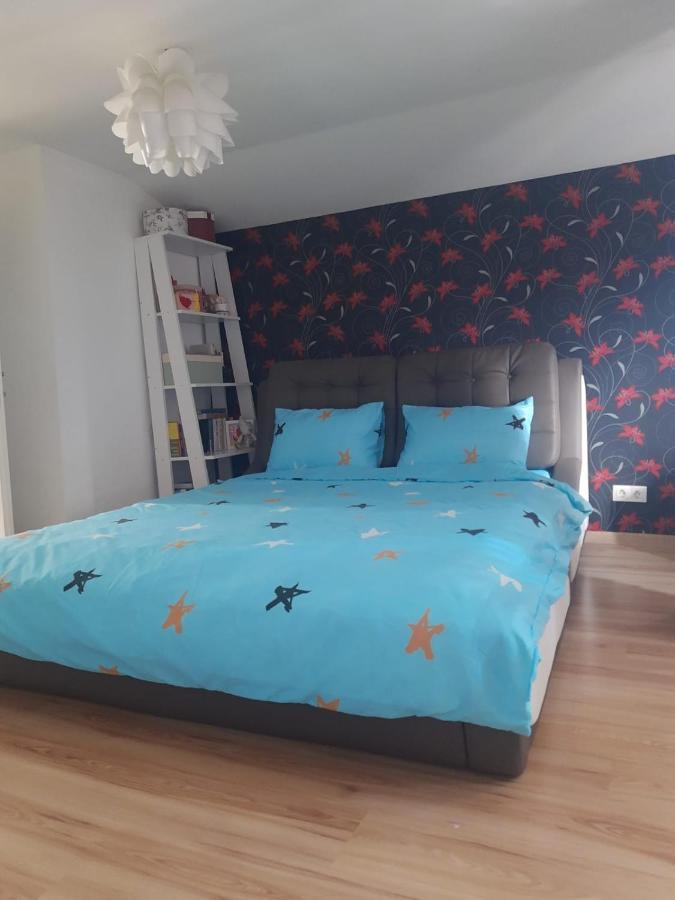 Apartament 3 Camere Râmnicu Vâlcea Extérieur photo